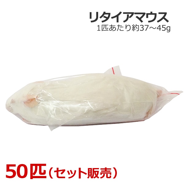 冷凍 リタイアマウス 50匹 | TOPCREATE