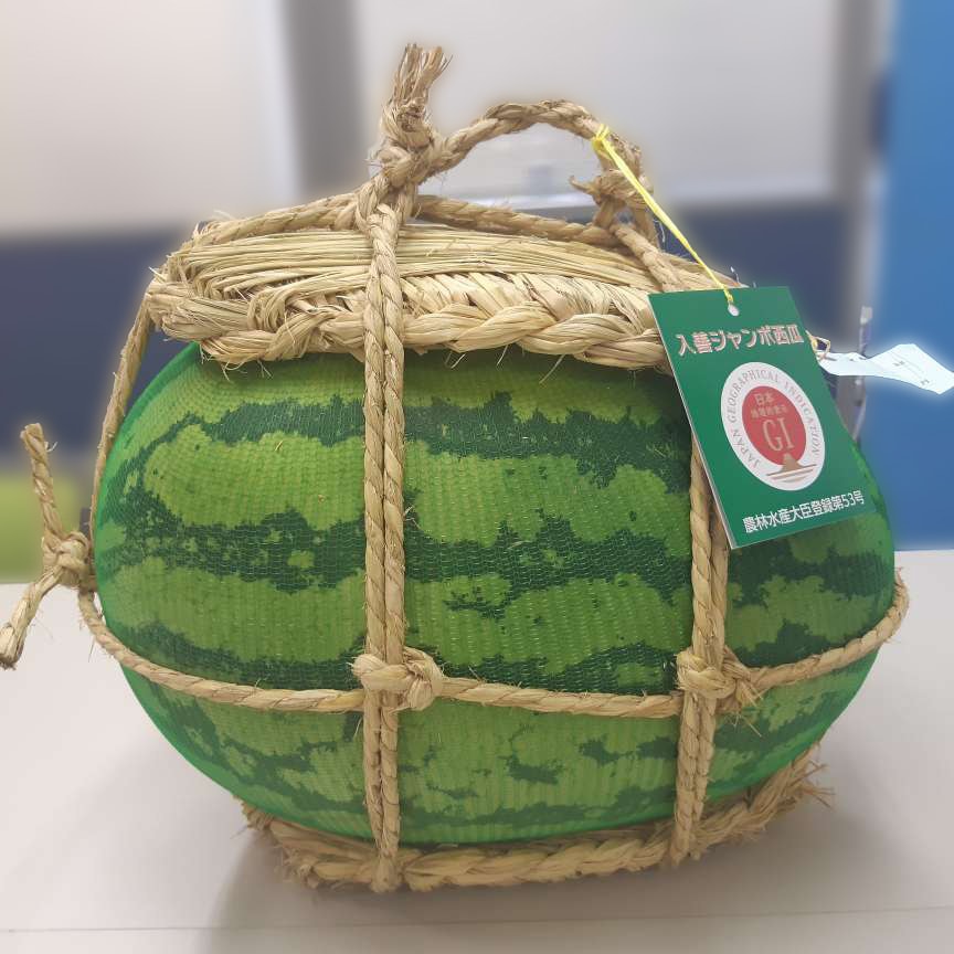 先行予約】富山特産 入善ジャンボ西瓜（約15kg～20kg）2025【送料込】