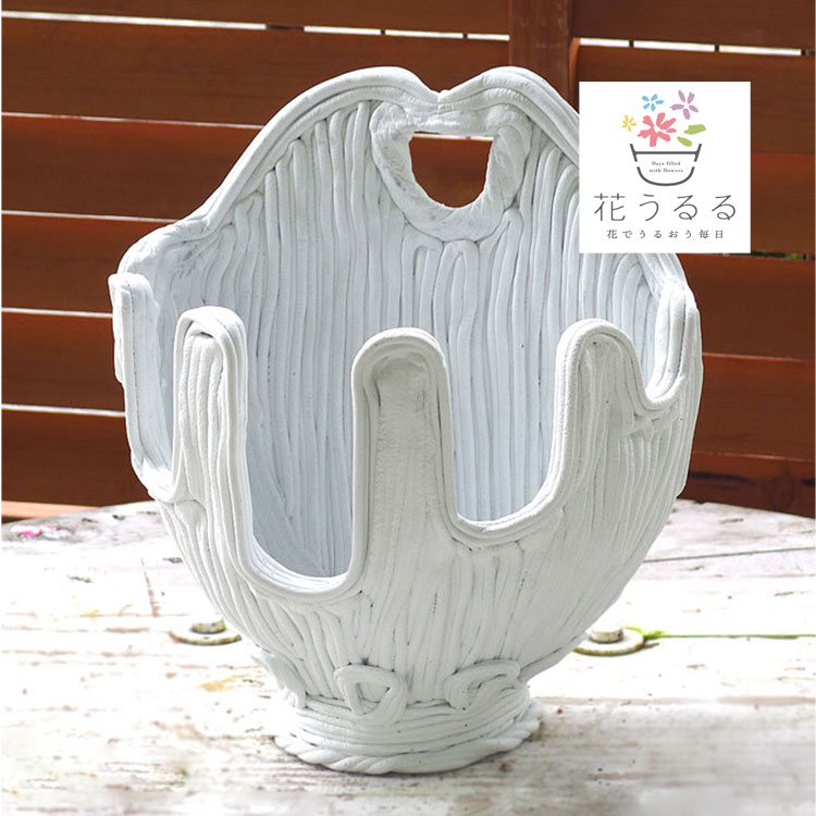 新 綱木紋（つなきもん）鉢【かえで】(ギャザリング 寄せ植え 寄植え