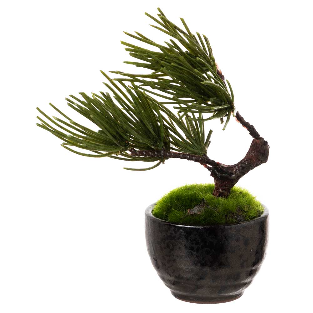 フェイクアート盆栽 然-ZEN- 寸-SUN-スモール 無地黒鉢 本物を知る庭師