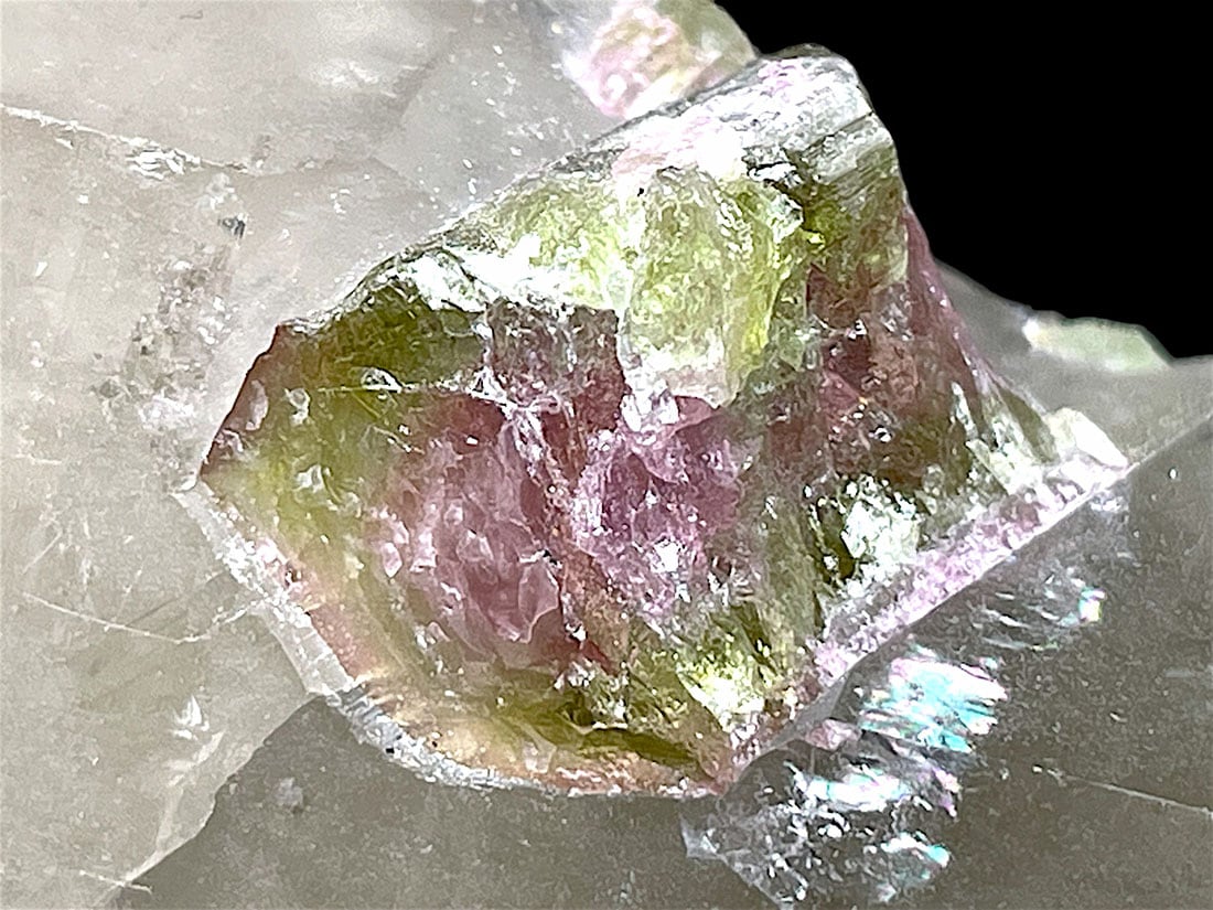 ウォーターメロントルマリン/Watermelon Tourmaline (電気石) (木製