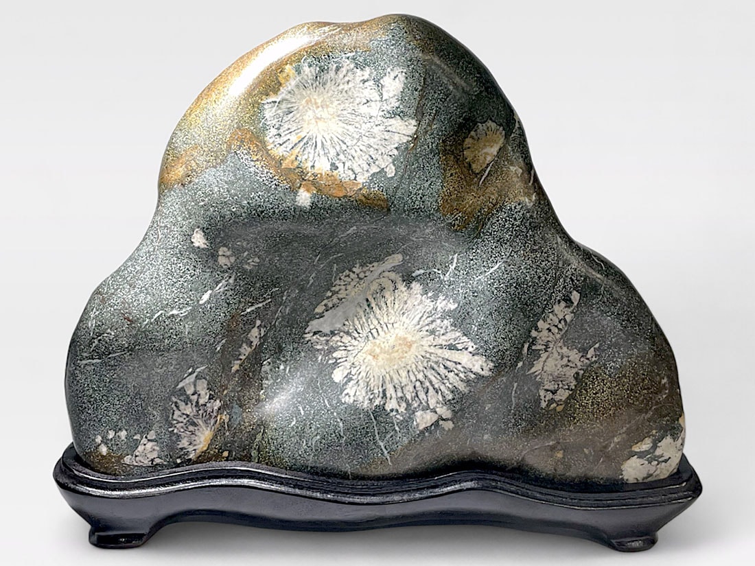 岐阜県根尾谷産 大型 天然 菊花石 (木製台座付き)