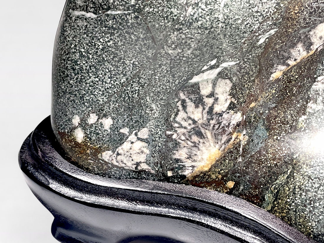 岐阜県根尾谷産 大型 天然 菊花石 (木製台座付き)