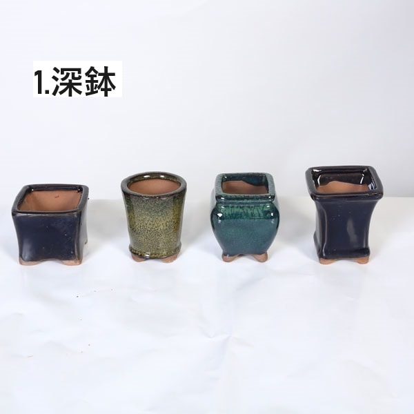 鉢：中国小鉢10点セット 2.5号-A*資材 | 盆栽鉢・水盤,お買い得小鉢