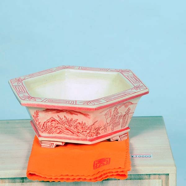 盆栽小鉢：桂雲 六角鉢 14cm 【現】*資材 | 盆栽鉢・水盤,現代小鉢