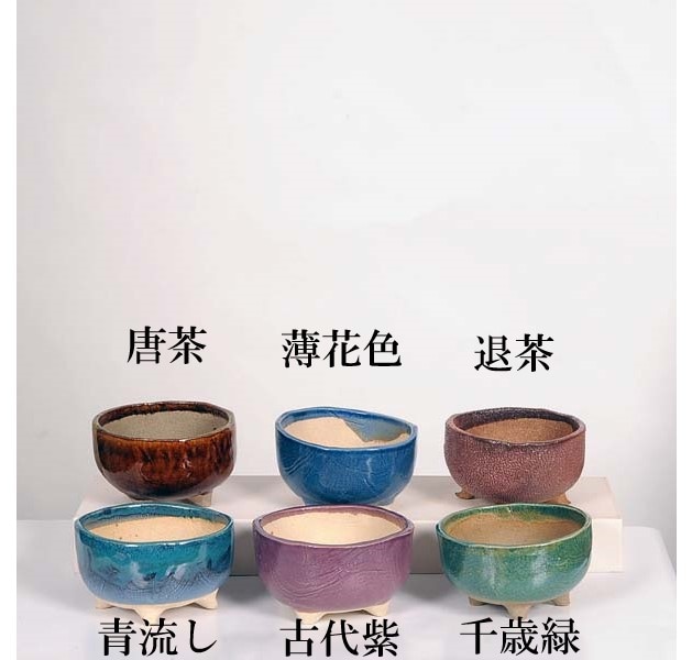 現代小鉢：祥石(二代目)ゆうき*大 丸鉢 4号 | すべての商品 | 遊恵盆栽