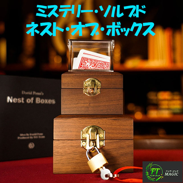 ミステリー・ソルブド：ネスト・オブ・ボックス｜メンタル,予知・予言