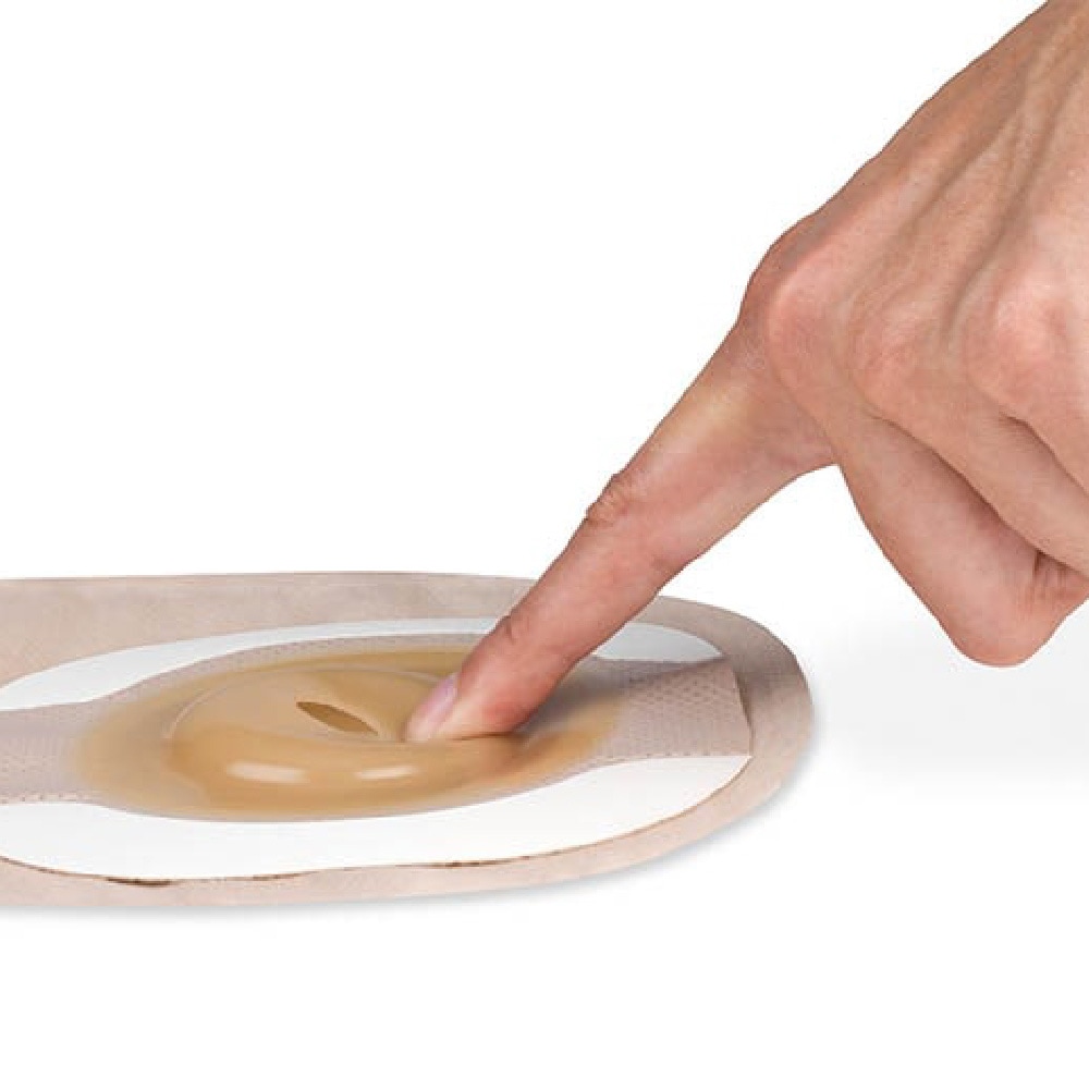 キャップのやわぴたFT | Hollisterサンプル請求サイト