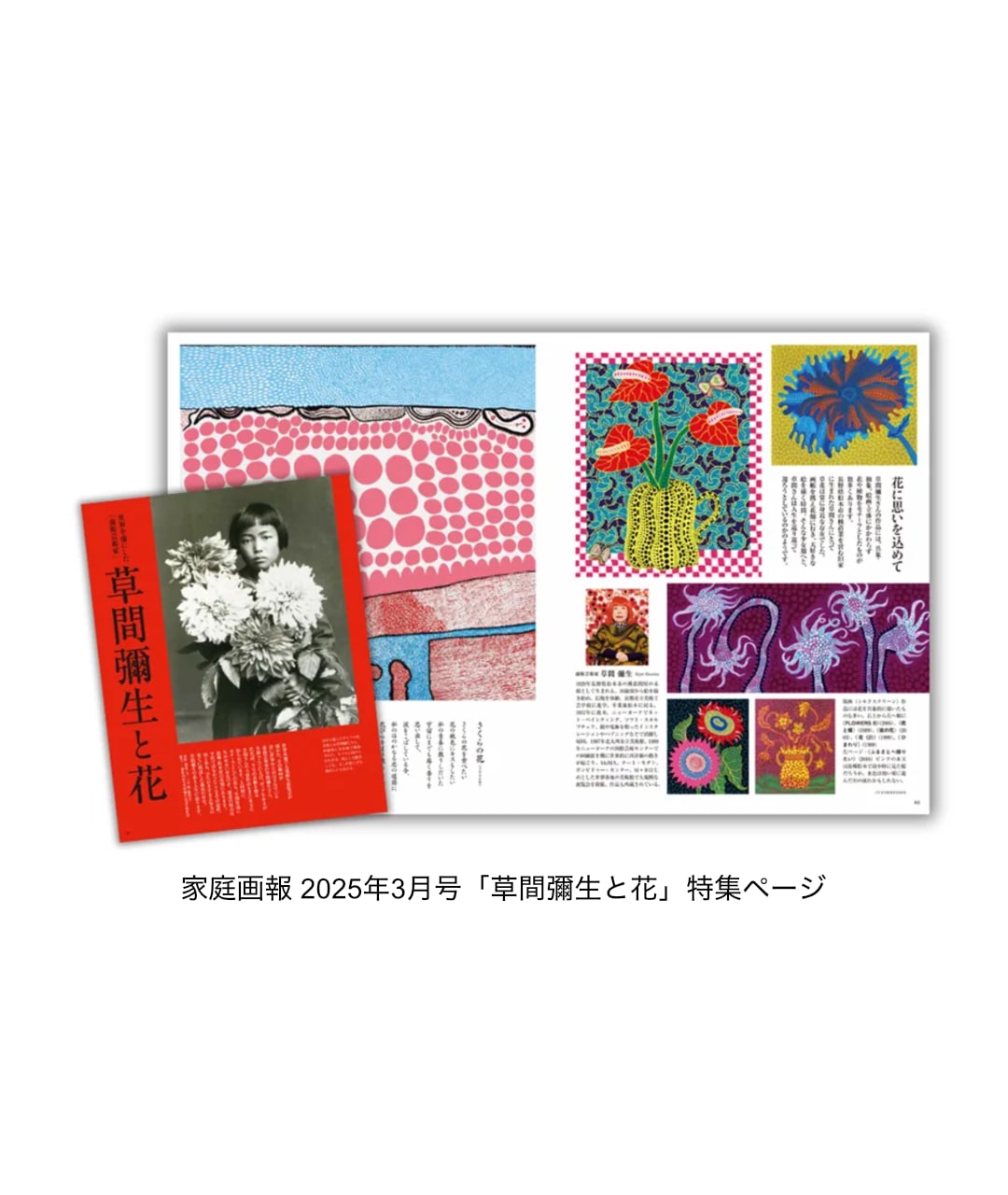 雑誌 [家庭画報 2025年3月号 草間彌生と花] 通常サイズ版｜ラムフロム