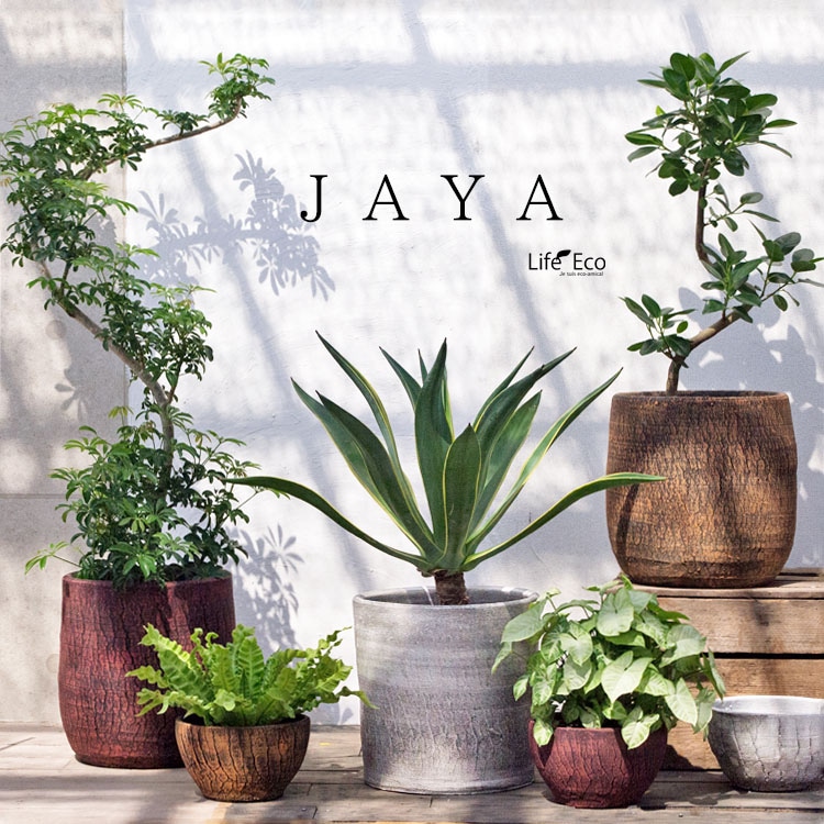 VALIEM valiem バリエム 陶器鉢 ② VALIEM バリエム 鉢 2つセット