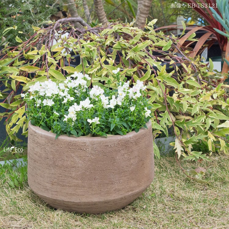 植木鉢 テラコッタ製（素焼き鉢） テラサモ ロースラント φ31cm×H22cm