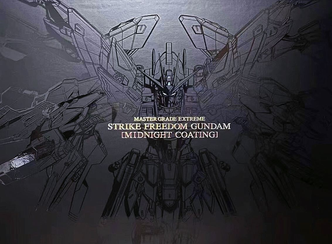 BANDAI 海外限定 MGEX 1/100 ストライク フリーダム ガンダム