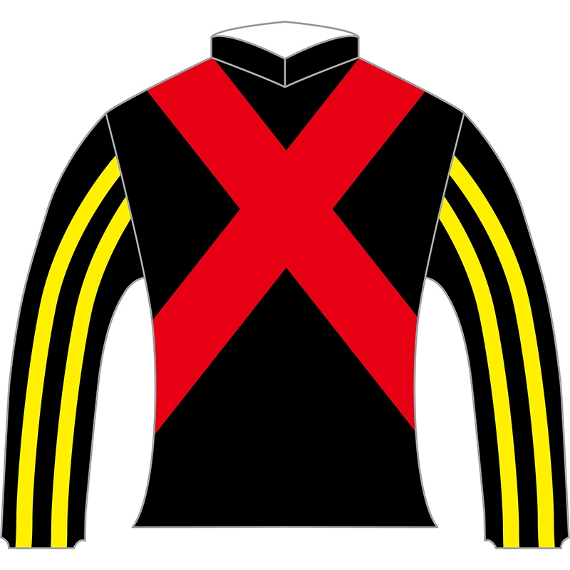 勝負服レプリカ2023オークス【リバティアイランド】 | カテゴリー一覧