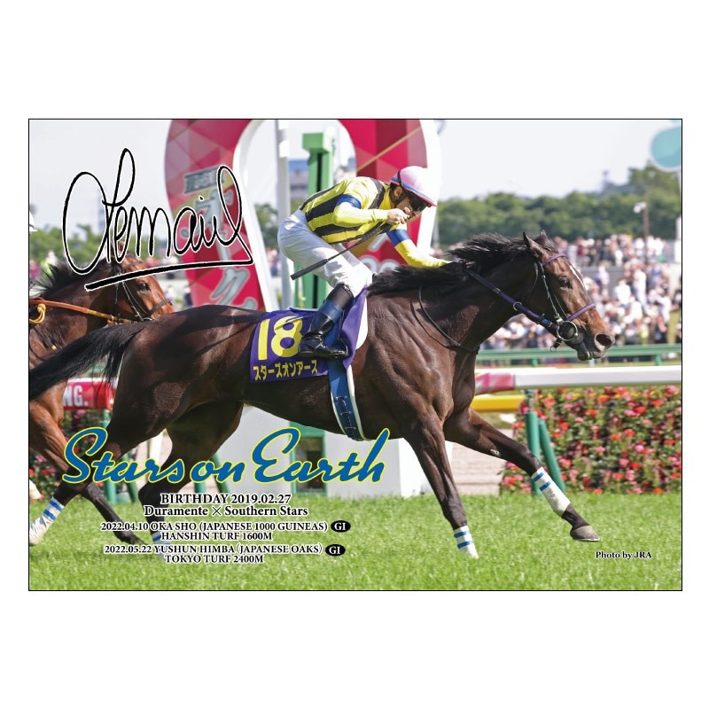 ホースジグソーパズル【スターズオンアース（'22オークス