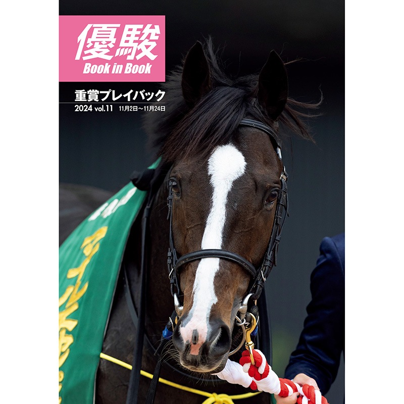 JRA-VAN複コロ限定景品 オーギュストロダン ウォールデコパネル JRA