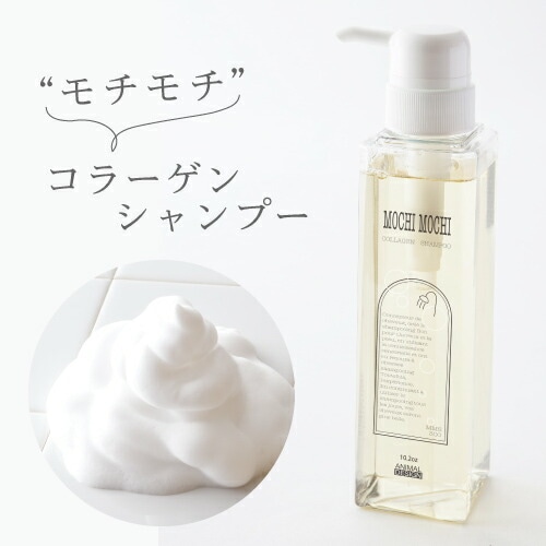 A倉庫】【 少量のみ再入荷 / なくなり次第終了 】モチモチ コラーゲン