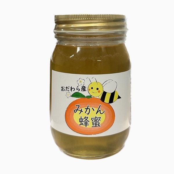 国産はちみつ【みかん】（プラ容器） | 朝ドレファ～ミ♪ｵﾝﾗｲﾝｼｮｯﾌﾟ