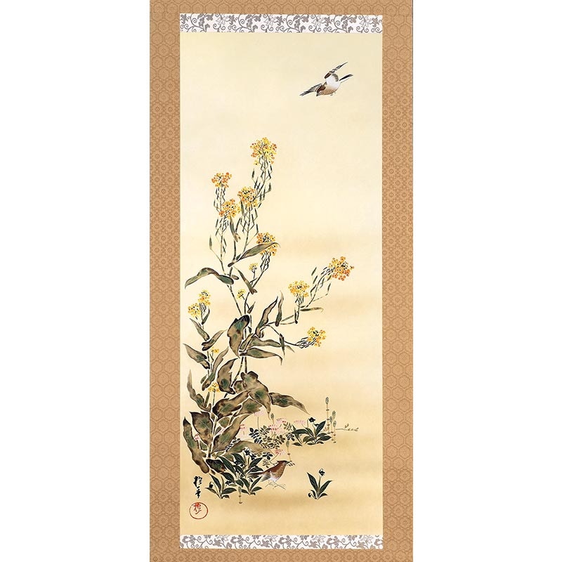 酒井抱一 「十二か月花鳥図」 二月 「菜花に雲雀図」 複製掛軸