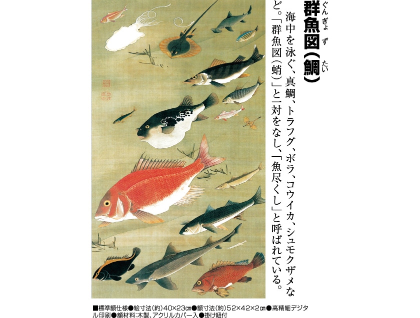 伊藤若冲 動植綵絵 群魚図（鯛） 額 美術品 インテリア レプリカ