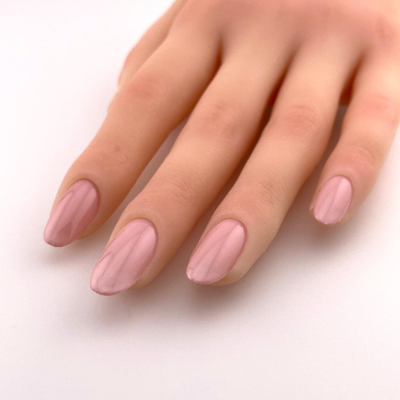 P006 ライトコーラル | すべての商品 | | para gel onlineshop