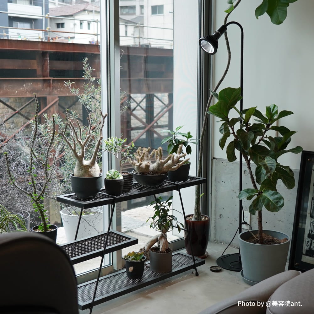 植物育成ライト専門店BARREL｜【フレキシブルアームライトスタンド