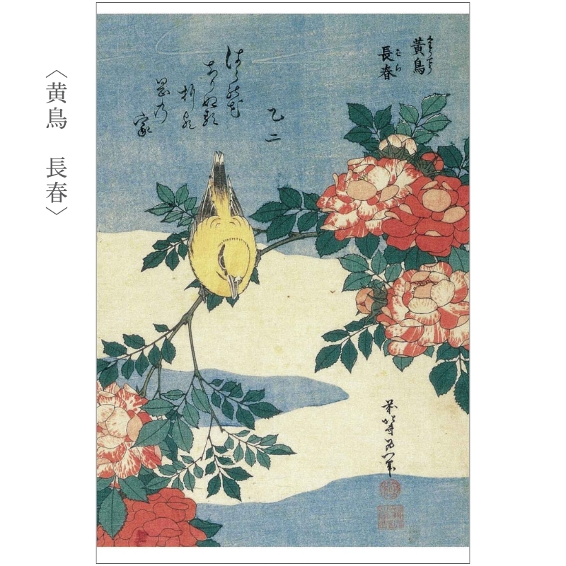 森山季紫鳥 日本画「白い花と垣根」 額装 森山季紫鳥 日本画「白い花と
