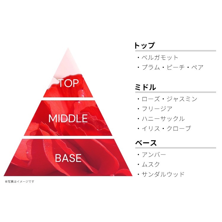 ボルゲーゼ イルバチオ EDP・SP 100ml BORGHESE IL BACIO EAU DE