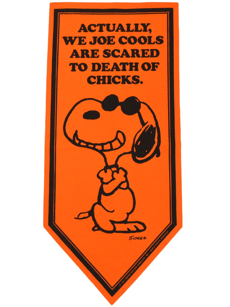 60S 70S SNOOPY ペナント 4点まとめて販売 60S 70S SNOOPY ペナント 4