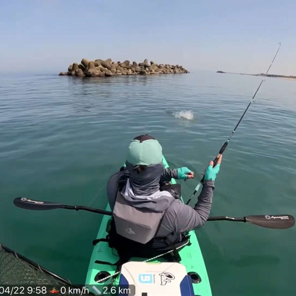 Bifarr BIFS-66L MultiEffector マルチエフェクター | ブランド名