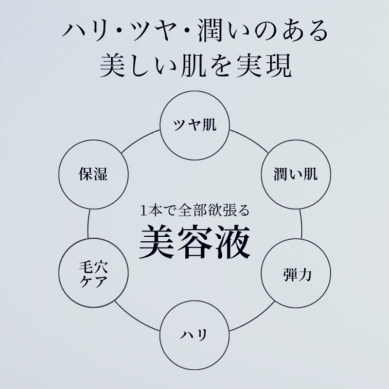 MetaLT SKIN メタエルティスキン 全身美容器MetaLT(メタエルティ)付属