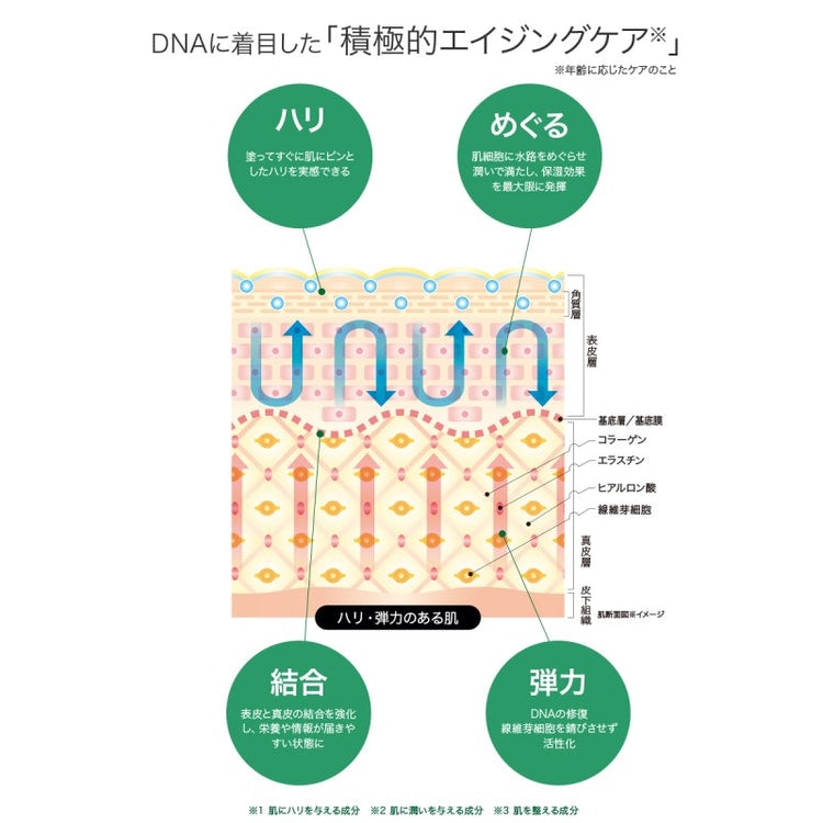 LABO+(ラボプラス) Rローション 160mL【店販用】 | 化粧水 | エステ