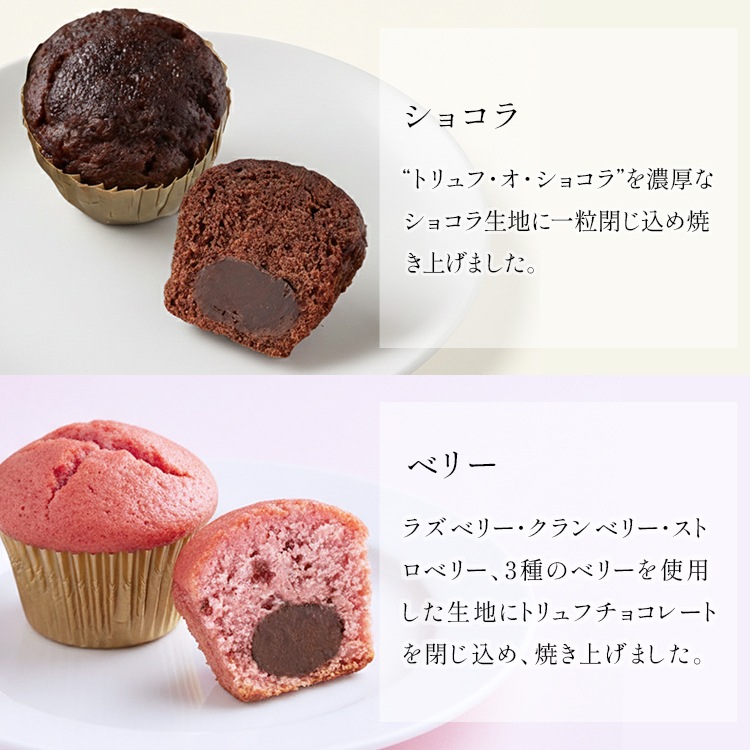 ミニトリュフケーキ16個入り(MTF-C) | ミニトリュフケーキ | ブール
