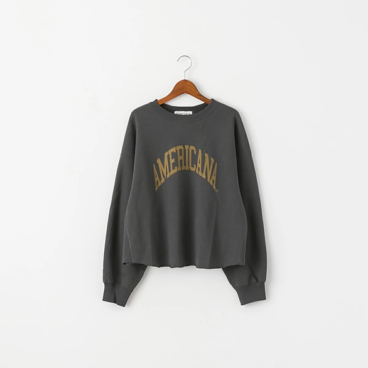 Americana アメリカーナ 14G 裏毛 クロップド カットオフ スウェット 4