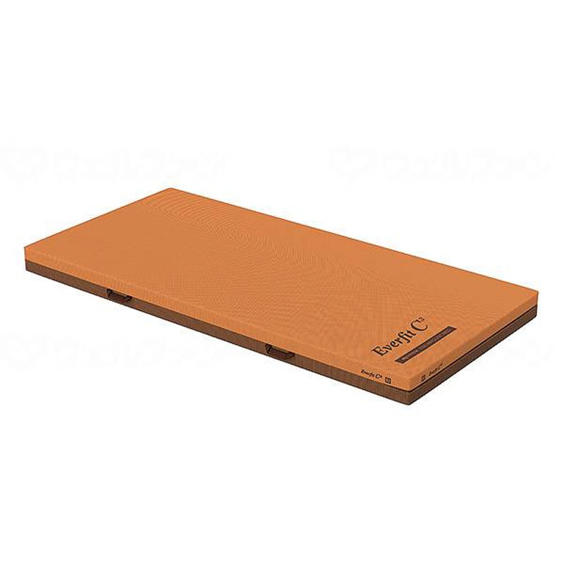 プレグラーマットレス 【単品で購入】 ｜ 介護ベッド・寝具,介護ベッド