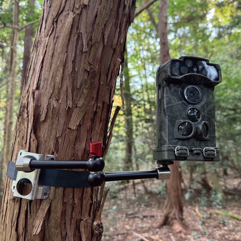 Ltl Acorn トレイルカメラ 6210MC/WMC ULTRA 850NM/950NM ※電池・SD