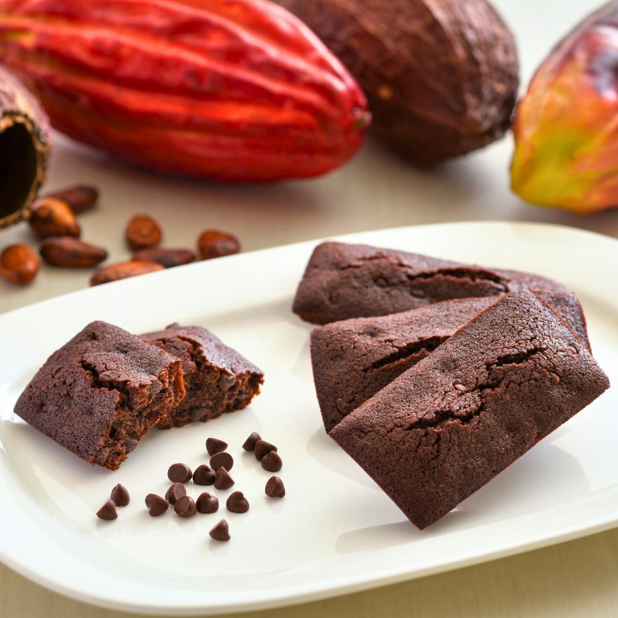 チョコチップフィナンシェ（6個） | 焼き菓子 | 【公式】チョコレート