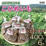 里芋（こひめいも） | チェリーランドさがえ ONLINE SHOP