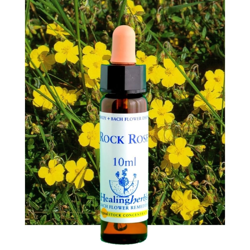 フラワーエッセンス 12 クレマチス [ヒーリングハーブス] | カリス成城