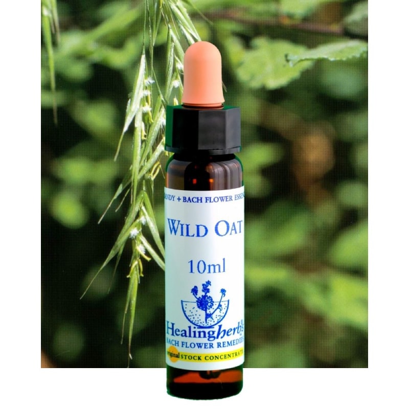 フラワーエッセンス 26 ラーチ [ヒーリングハーブス] | カリス成城 WEB