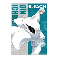 予約】BLEACH B3布ポスター 藍染 惣右介 | は行,BLEACH | Chugaionline