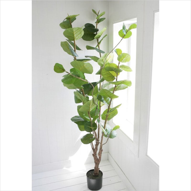 シーグレープ 1.8m | フェイクグリーン（造花・リース） | COVENT