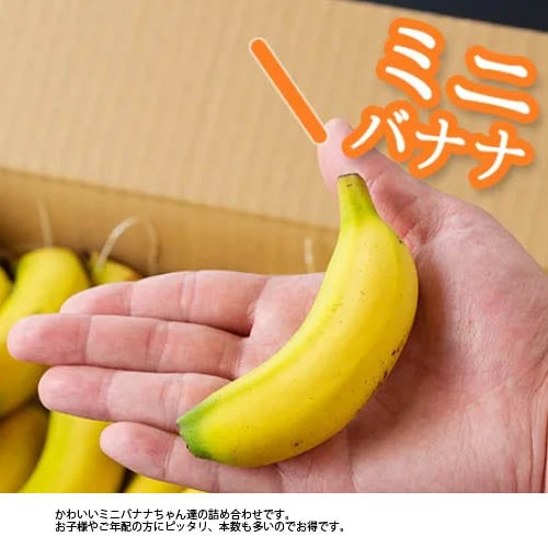 宮崎産バナナ「NEXT716」ミニバナナ1kg詰め合わせ | Japan Brand