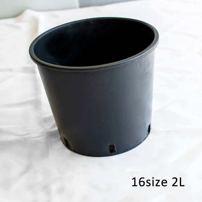 RP16】【5号】 ナーセリーポット16size | 一般のお客様向け | 大樹
