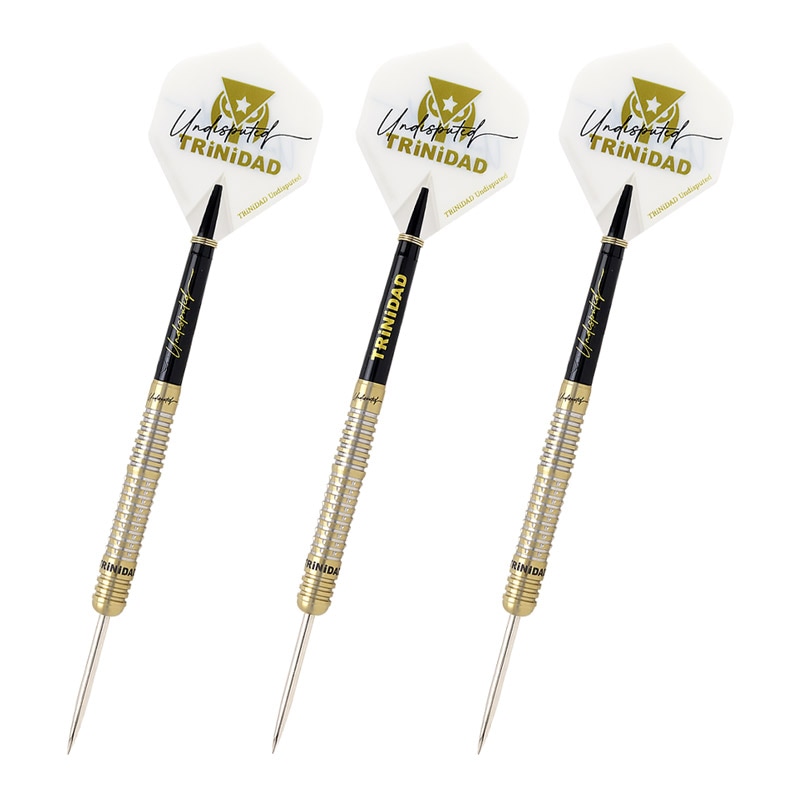 リカルド 浅田斉吾モデル スティール バレル【トリニダード】リカルド 浅田斉吾モデル スティール｜ダーツ