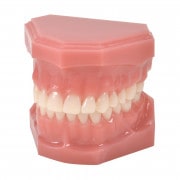 頬粘膜ボックス フルカバー