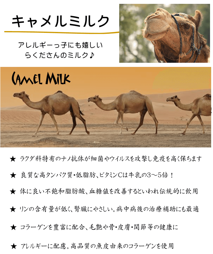 キャメルミルク（らくだのミルク）パウダー | 山羊ミルク・トッピング