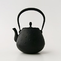 南部鉄器 鉄瓶 / 南部鉄瓶 / 釜定 / 秋の実 大あられ [ やかん 日本製