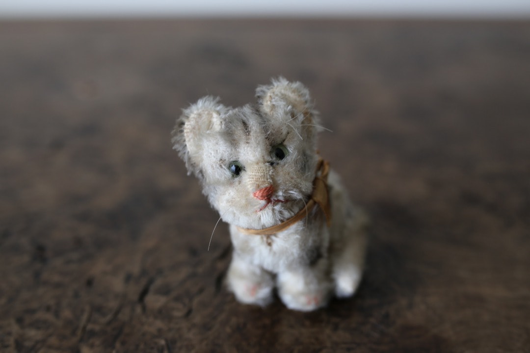 シュタイフ 猫の“スージー” ｜ D+EMARKET Online