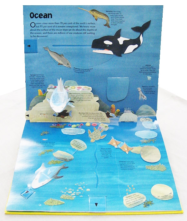 ポップアップしかけえほん World of Animals | カテゴリーでさがす