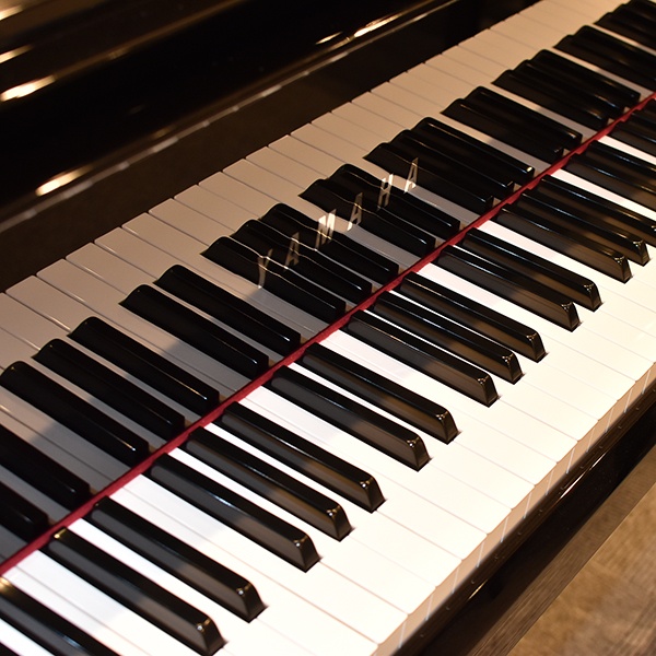 YAMAHA AvantGrand N1